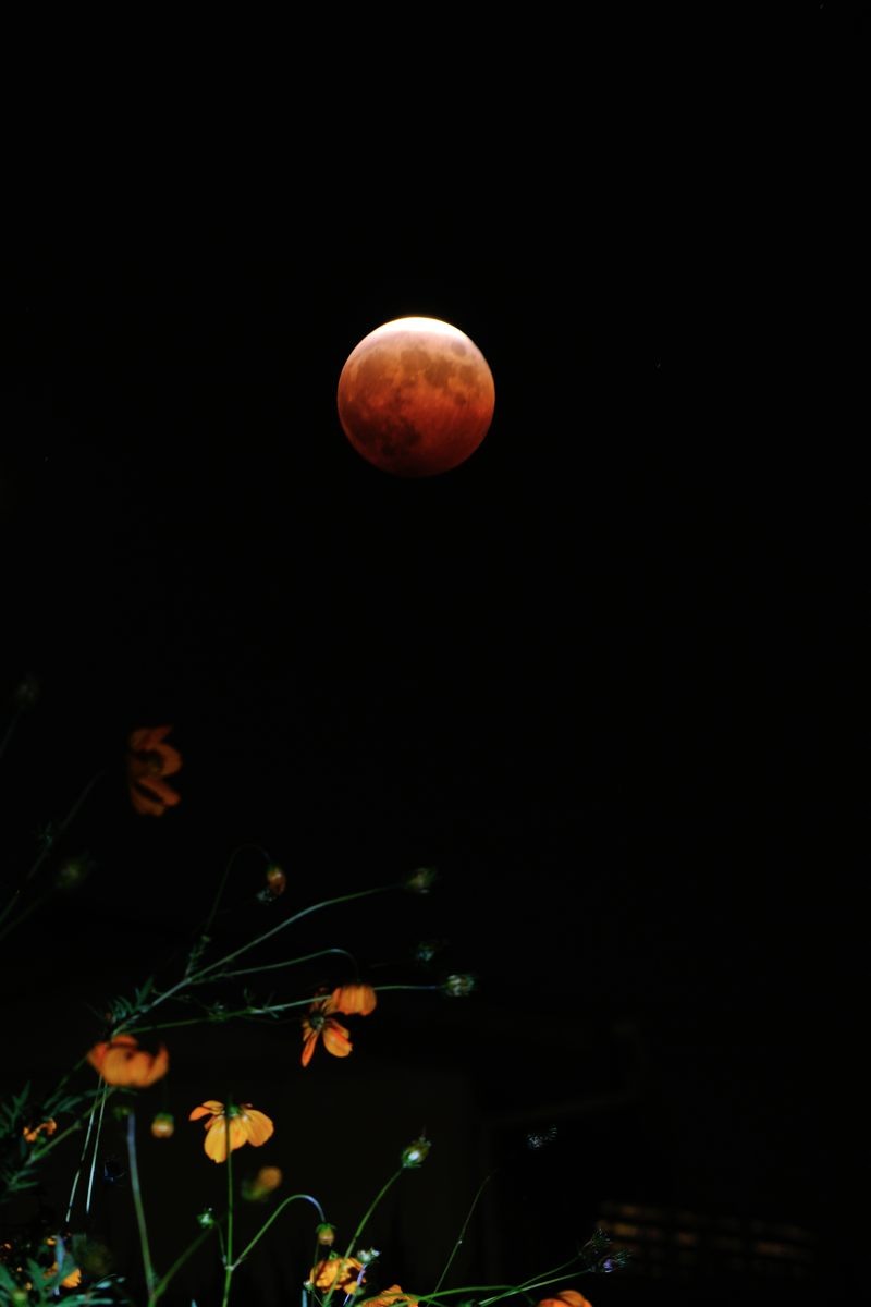 f0224648_2092478.jpg