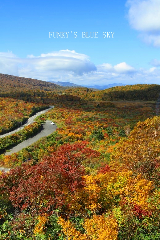 c0145250_17351613.jpg