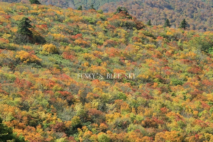 c0145250_17353045.jpg