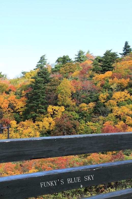 c0145250_17353896.jpg