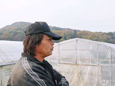 夢白菜 今年も元気な土に定植しました。「大山ファーム」さんの夢ブランドの野菜やスイカの話_a0254656_17434821.jpg