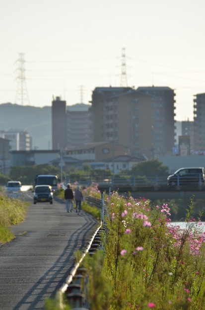 綾羅木川沿いの朝_a0171959_11243153.jpg