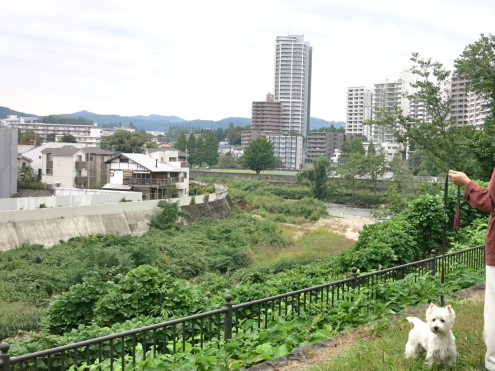 深まる秋_c0260460_17185233.jpg