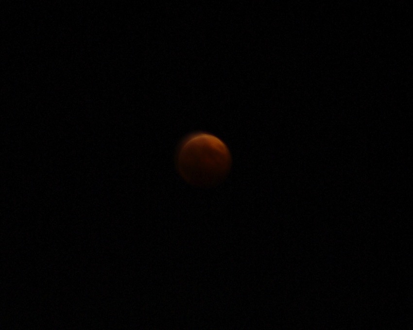 f0179061_21131432.jpg