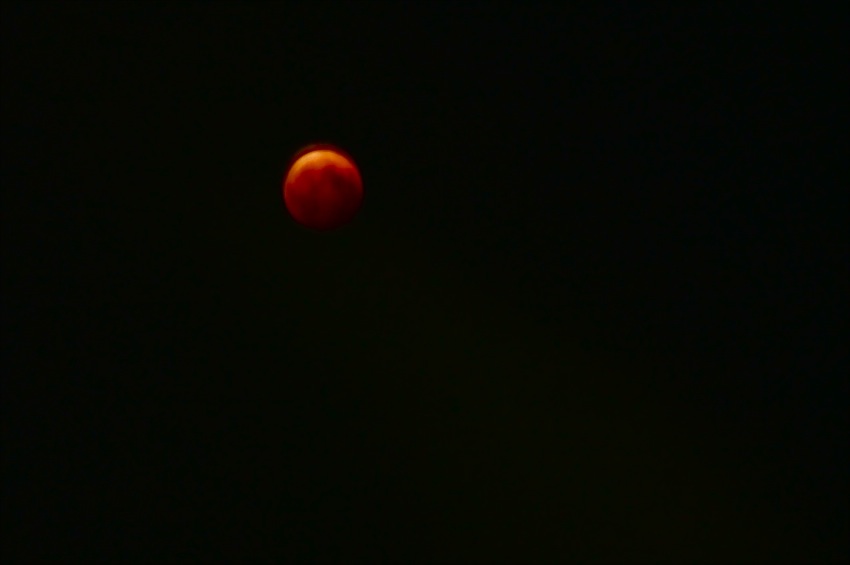 f0179061_21132393.jpg