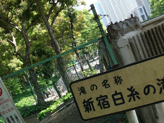 d0154964_751421.jpg