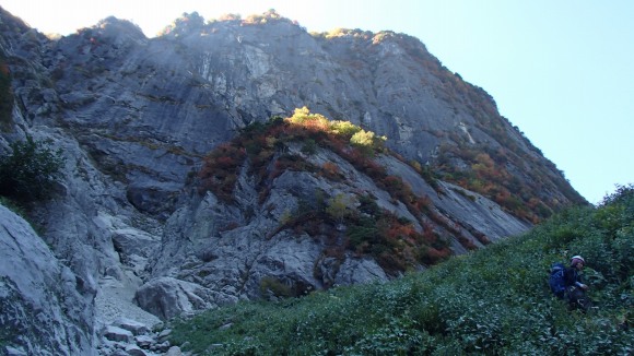 b0050067_19770.jpg