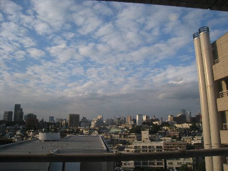 a0160373_20404945.jpg