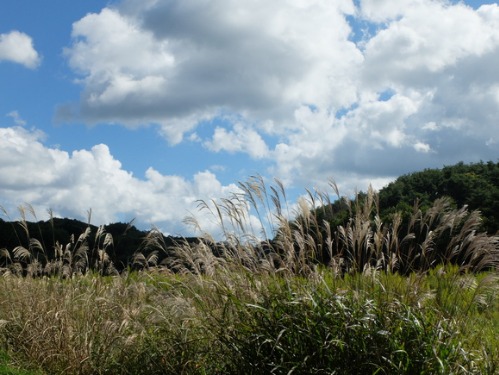 a0180681_23321477.jpg