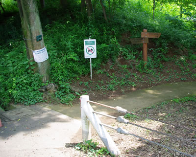 b0123486_20423024.jpg