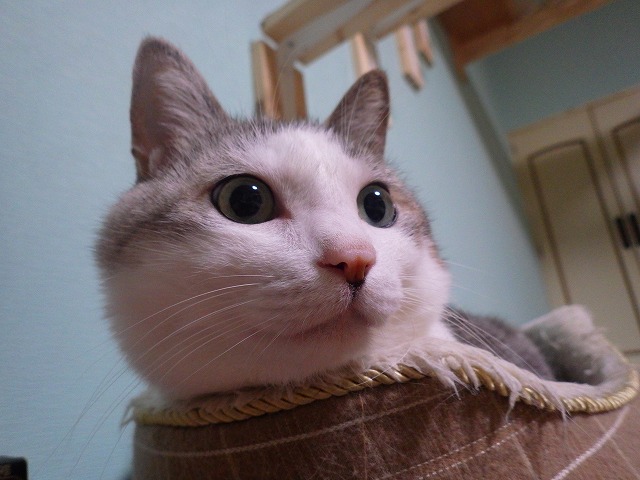 a0159490_9261650.jpg