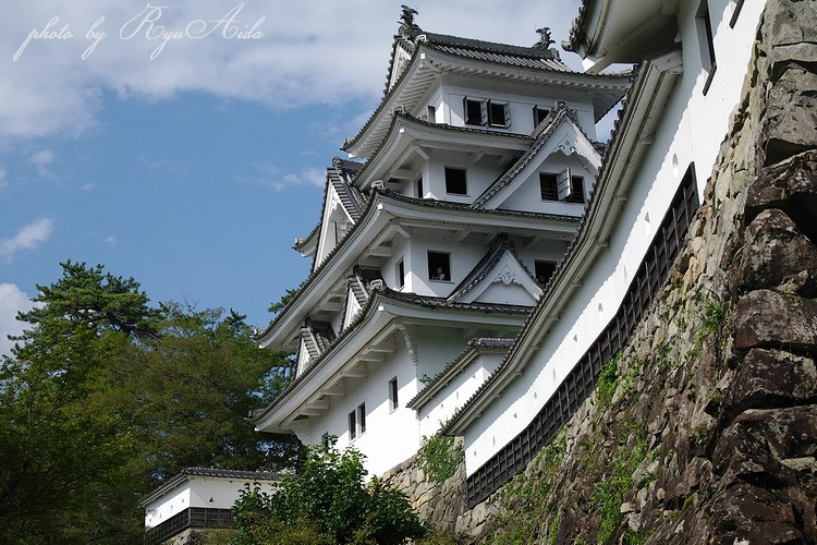 郡上八幡城_f0332795_20553241.jpg