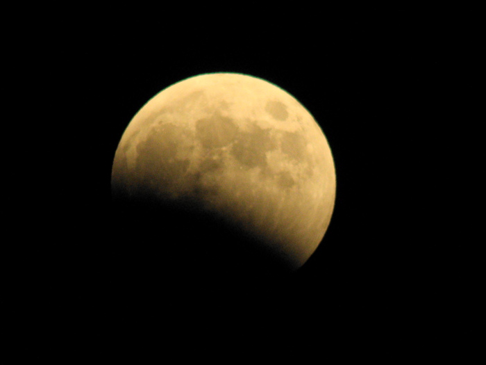 a0206496_2002328.jpg