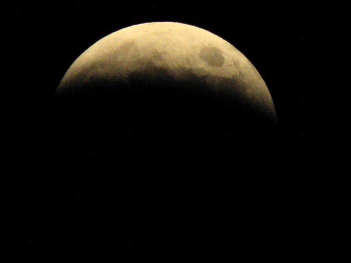 a0206496_2004993.jpg