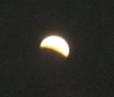 c0201302_1329546.jpg