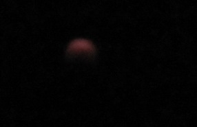 c0201302_13315346.jpg