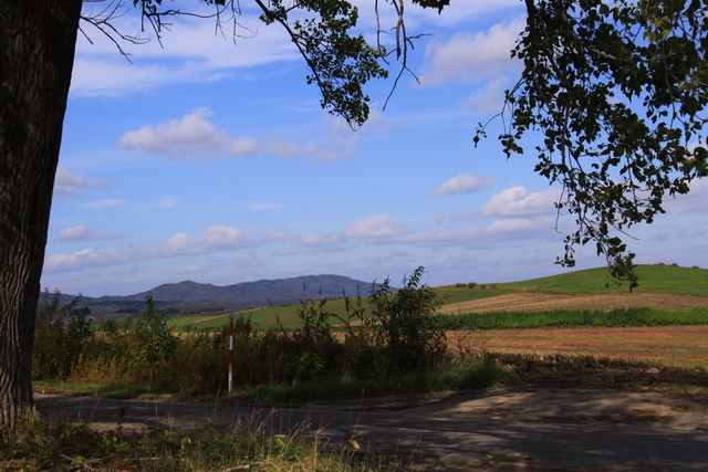 d0248502_2149646.jpg