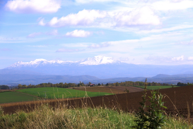 d0248502_21511241.jpg