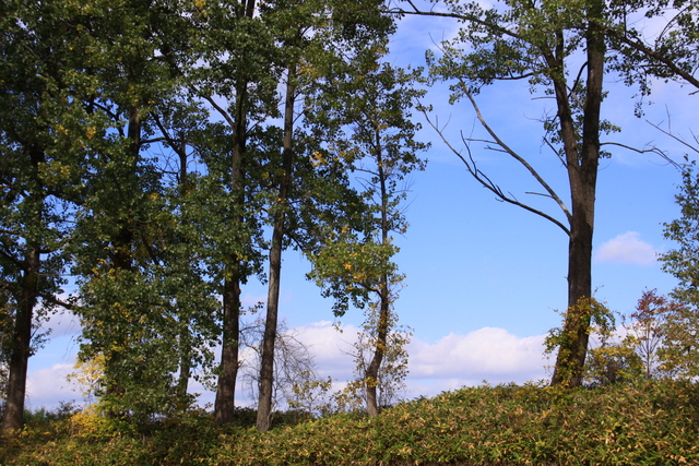d0248502_21595251.jpg