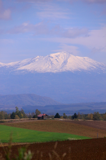 d0248502_2202895.jpg
