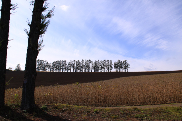 d0248502_816431.jpg