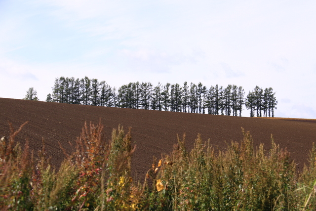 d0248502_8212736.jpg