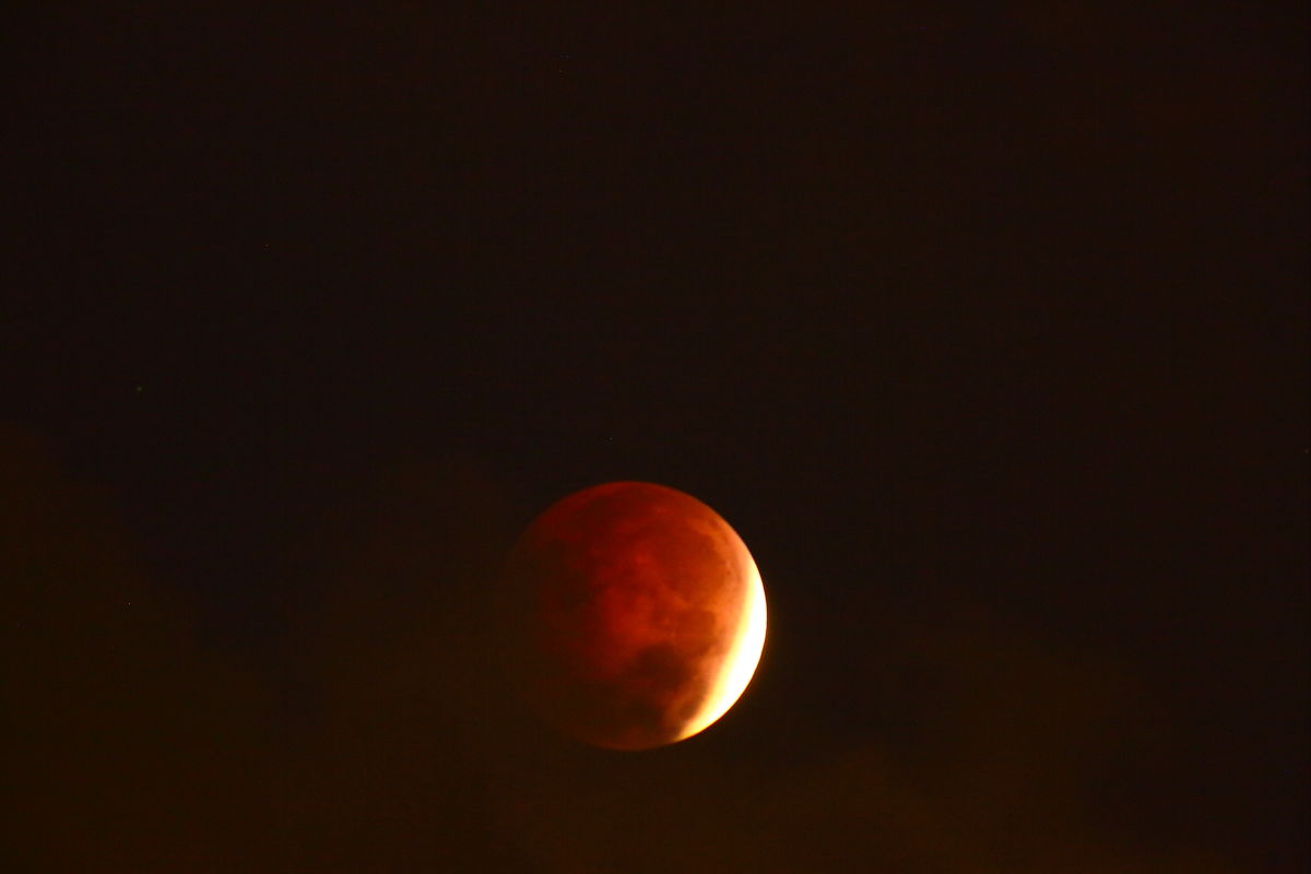 Blood Moon in NY 2014_a0274805_00255087.jpg