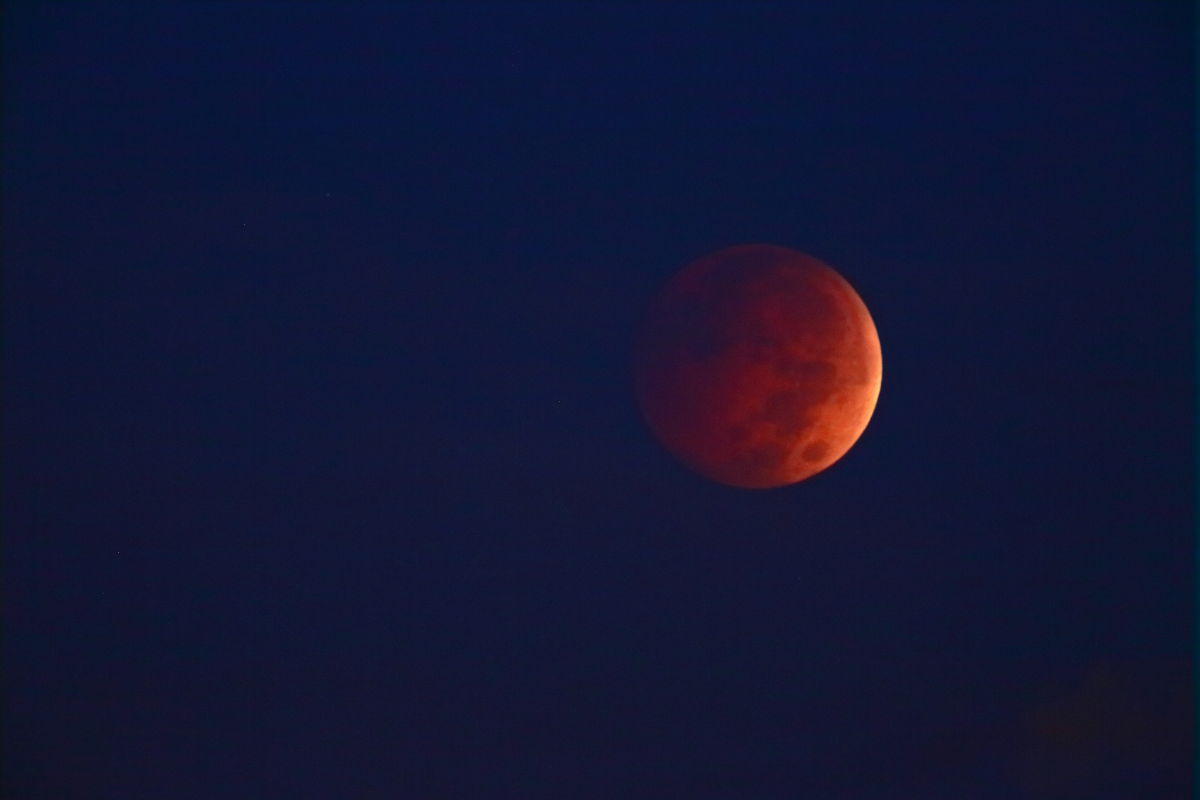 Blood Moon in NY 2014_a0274805_00261238.jpg