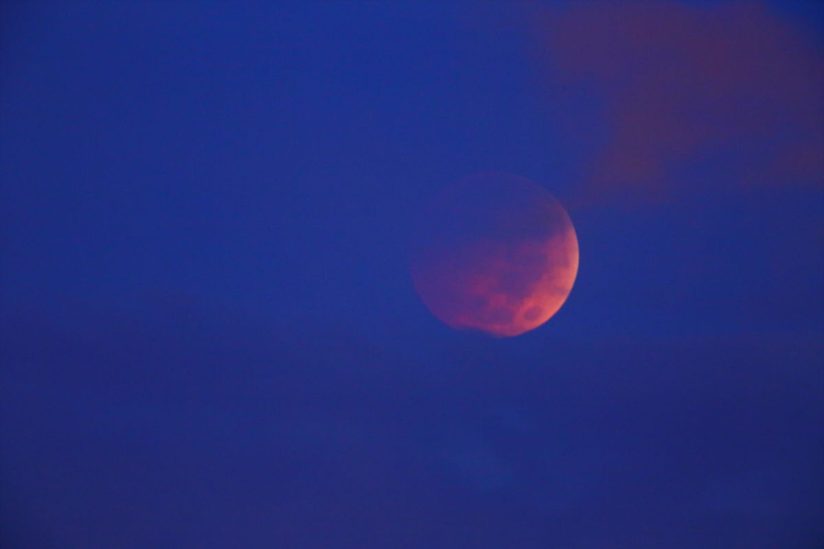 Blood Moon in NY 2014_a0274805_00262215.jpg