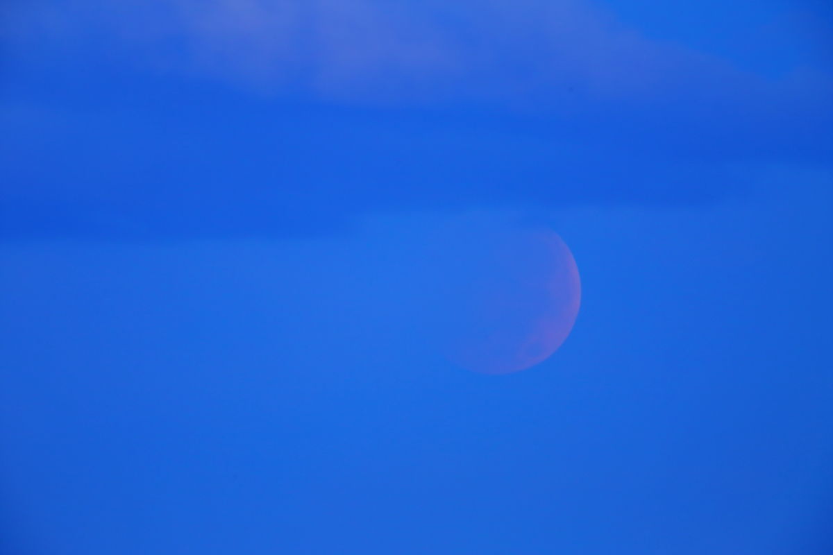Blood Moon in NY 2014_a0274805_00265150.jpg