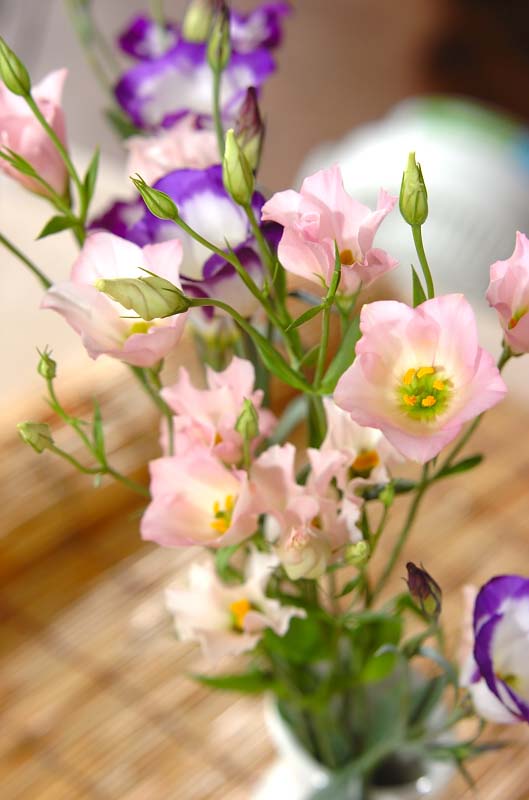 花より団子_a0115906_1503089.jpg