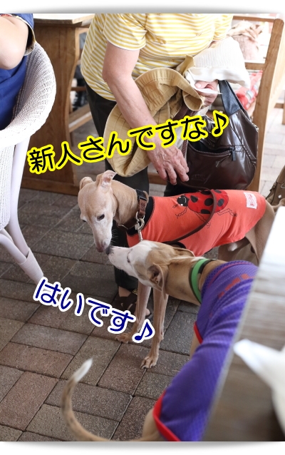 e0100007_21553913.jpg
