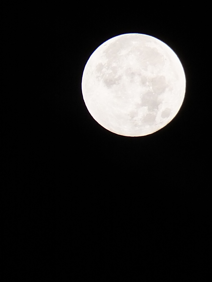 皆既月食_f0155808_19291089.jpg