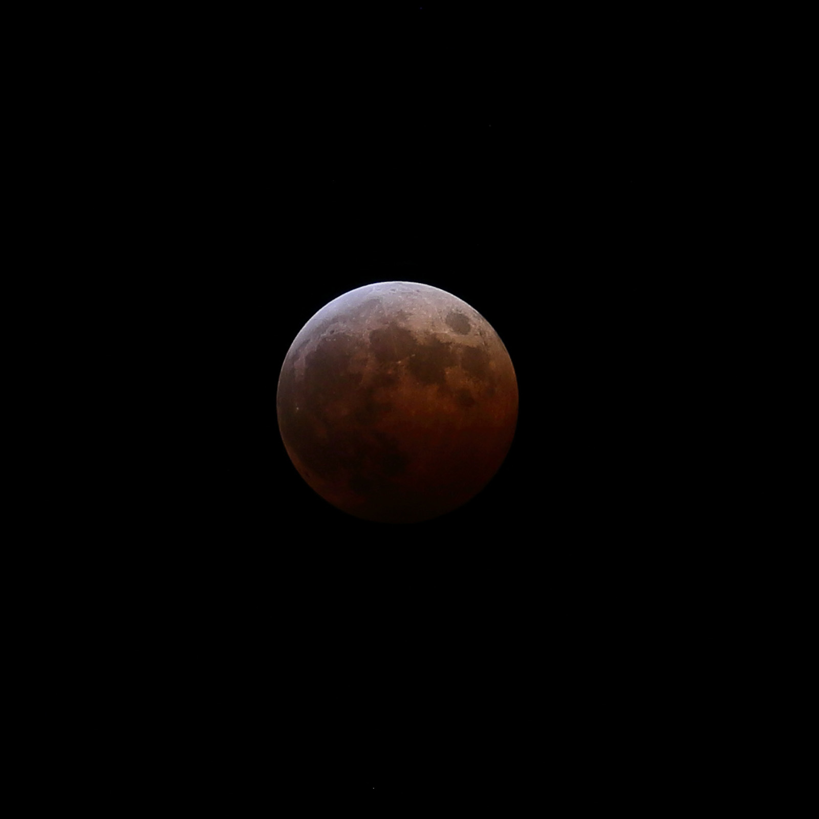 a0157609_2001896.jpg