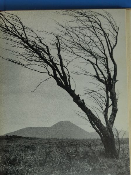 c0164709_21074538.jpg