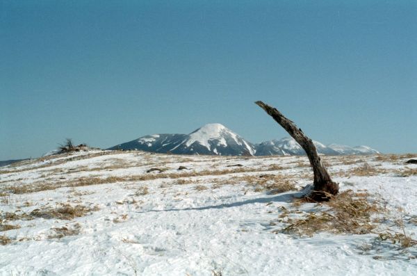 c0164709_21080974.jpg