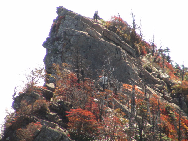 f0231709_9572275.jpg