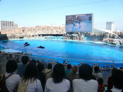 10/7~10/8 知多半島一泊旅行!!_a0154110_13382556.jpg