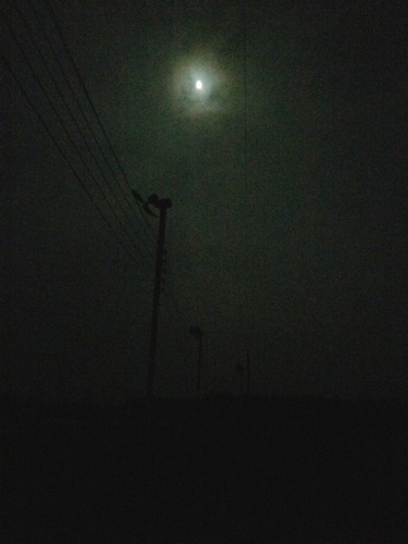 c0114110_16341373.jpg