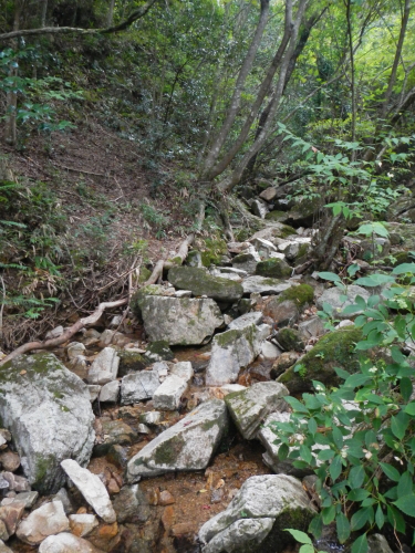 e0211912_1041180.jpg