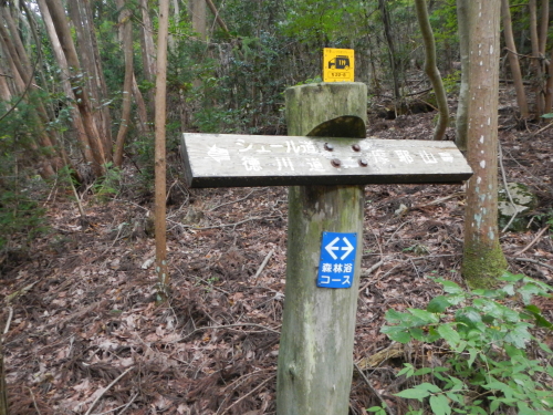 e0211912_10415353.jpg