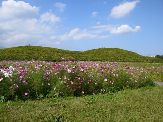 e0205713_1054477.jpg
