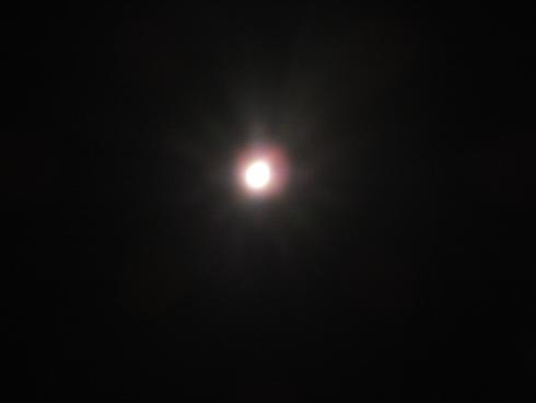 a0114314_15206100.jpg