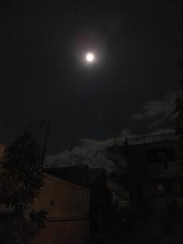 a0114314_1521249.jpg
