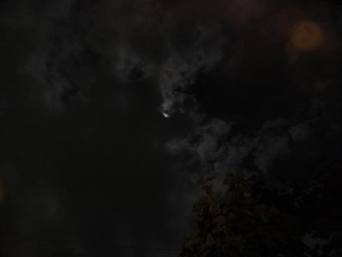 a0114314_15213622.jpg