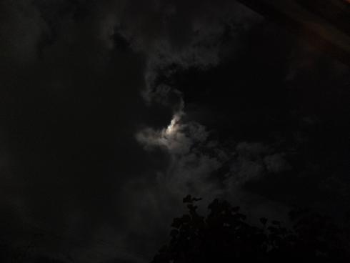 a0114314_15241941.jpg