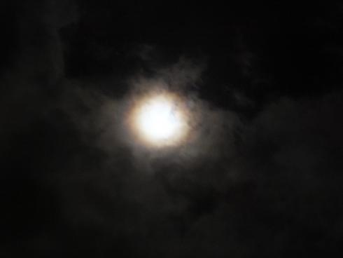 a0114314_15265265.jpg