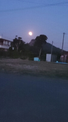 c0138720_115826.jpg