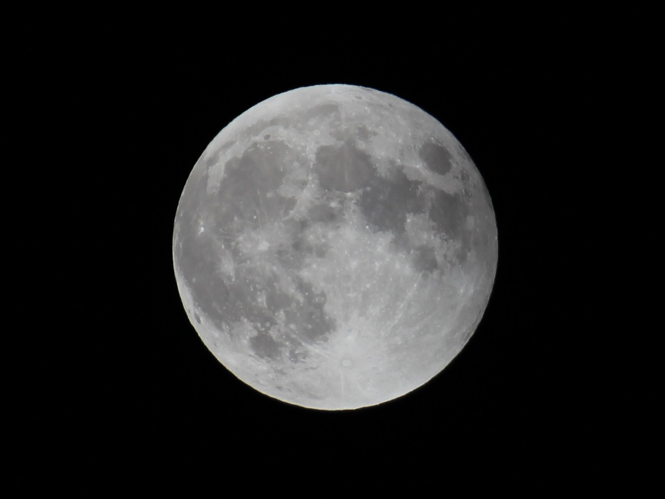 f0310221_179922.jpg