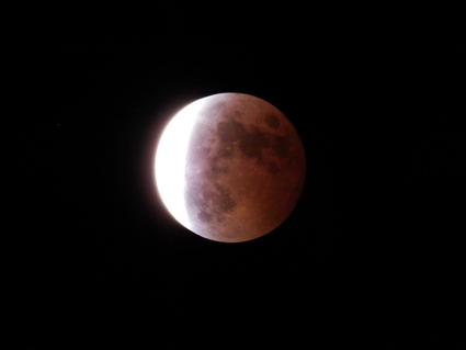 b0049123_9737.jpg